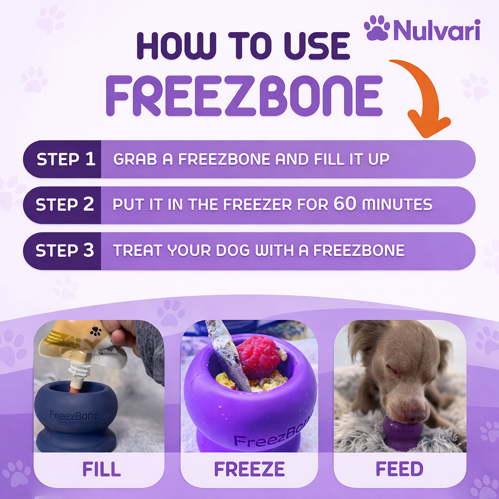 CalmPup™ Frozen Enrichment Toy